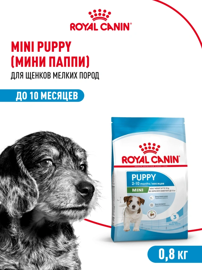 Сухой корм Royal Canin Mini Puppy для щенков, 800 г фото 14