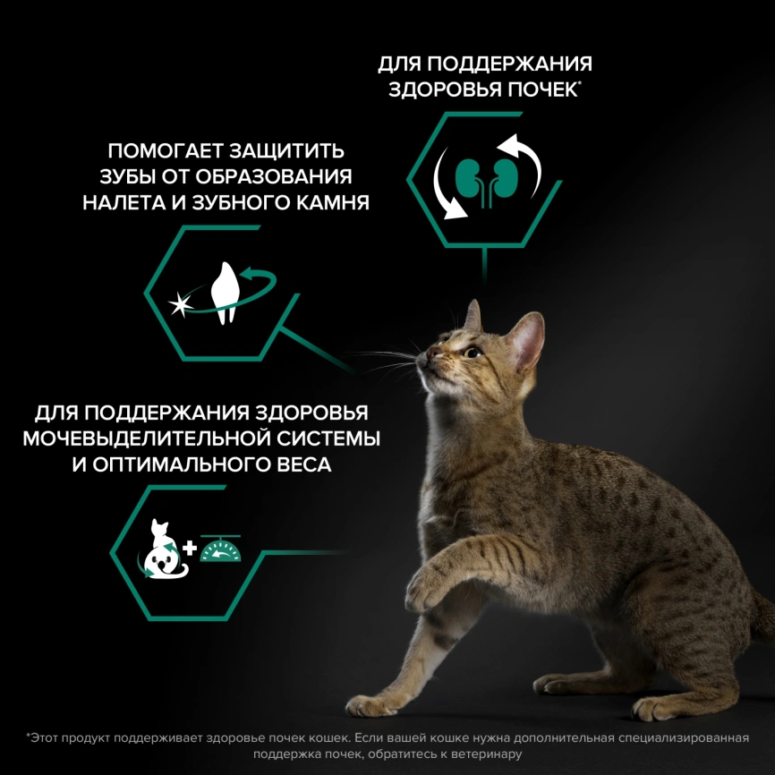 Сухой корм Purina Pro Plan Cat Adult Sterilised для стерилизованных кошек, с кроликом, 3 кг фото 2