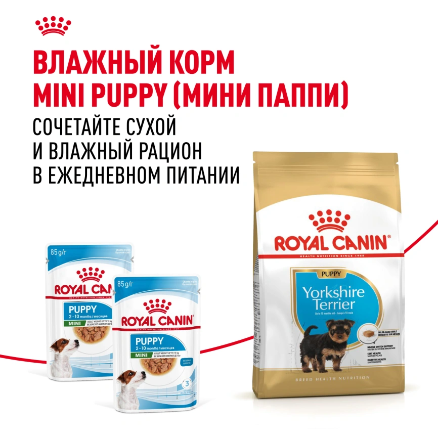 Сухой корм Royal Canin Yorkshire Terrier Puppy для щенков, 1.5 кг фото 9