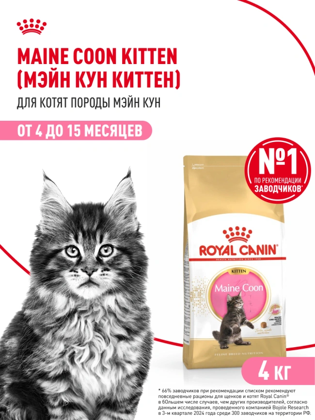 Сухой корм Royal Canin Kitten Maine Coon для котят, 4 кг фото 15