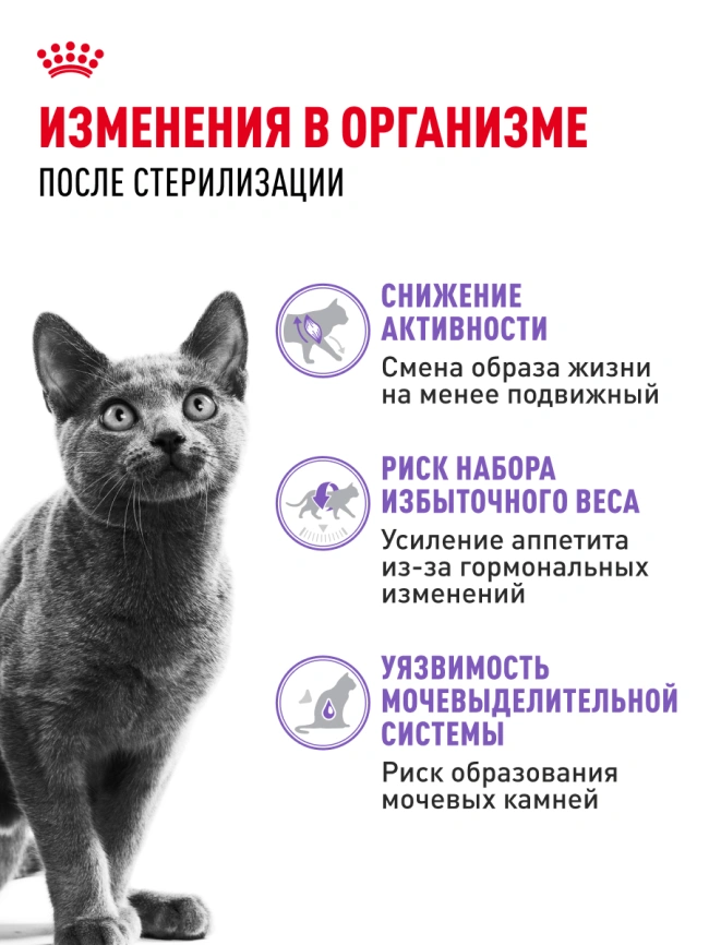 Сухой корм Royal Canin Sterilised для кастрированных котов и стерилизованных кошек, 400 г фото 21