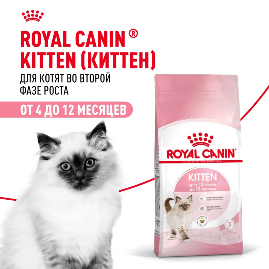 Сухой корм Royal Canin Kitten для котят, 2 кг фото 14