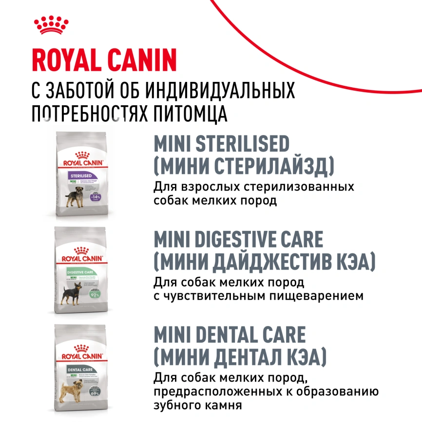 Сухой корм Royal Canin Pomeranian Adult для собак породы померанский шпиц, 500 г фото 10