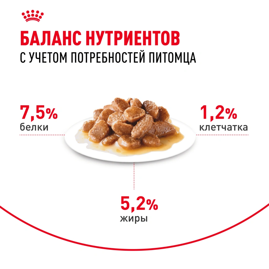 Влажный корм Royal Canin Mini Adult в соусе для взрослых собак мелких пород старше 10 месяцев, пауч, 85 г фото 11