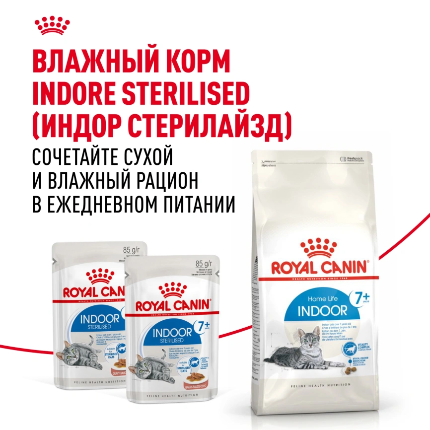 Сухой корм Royal Canin Indoor 7+ для кошек, 3,5 кг фото 11