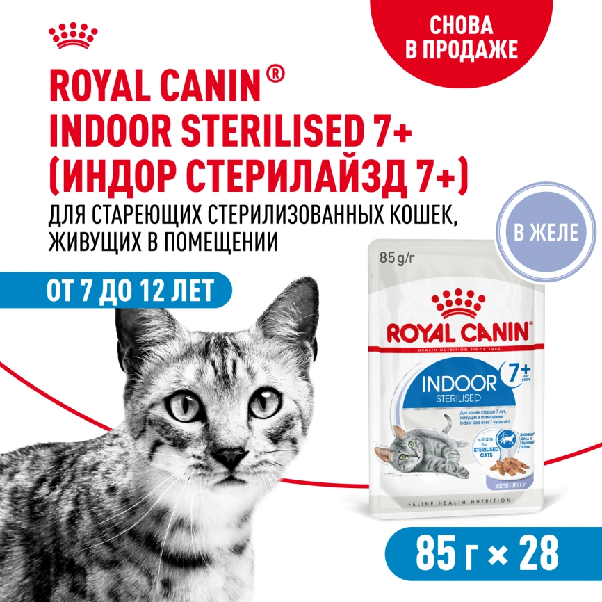 Влажный корм Royal Canin Indoor 7+ в желе для кошек старше 7 лет, живущих в помещении, пауч, 85 г фото 13