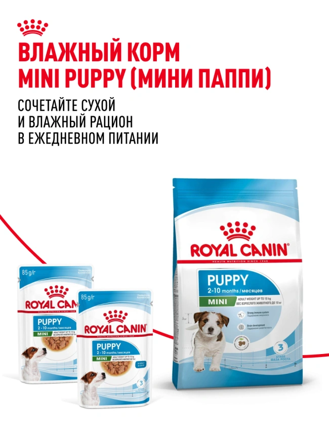 Сухой корм Royal Canin Mini Puppy для щенков, 2 кг фото 26