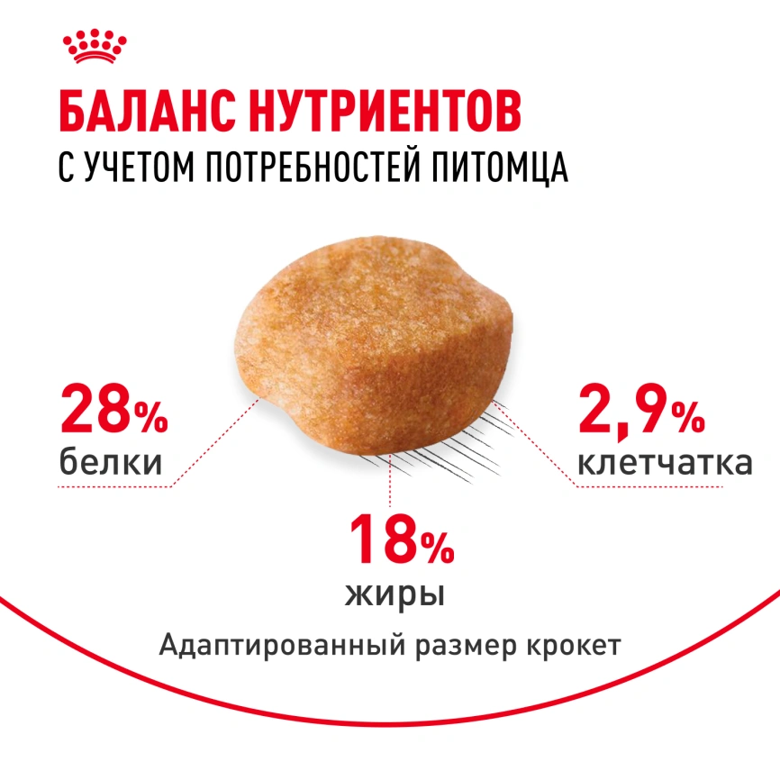 Сухой корм Royal Canin Yorkshire Terrier Adult для взрослых собак фото 4