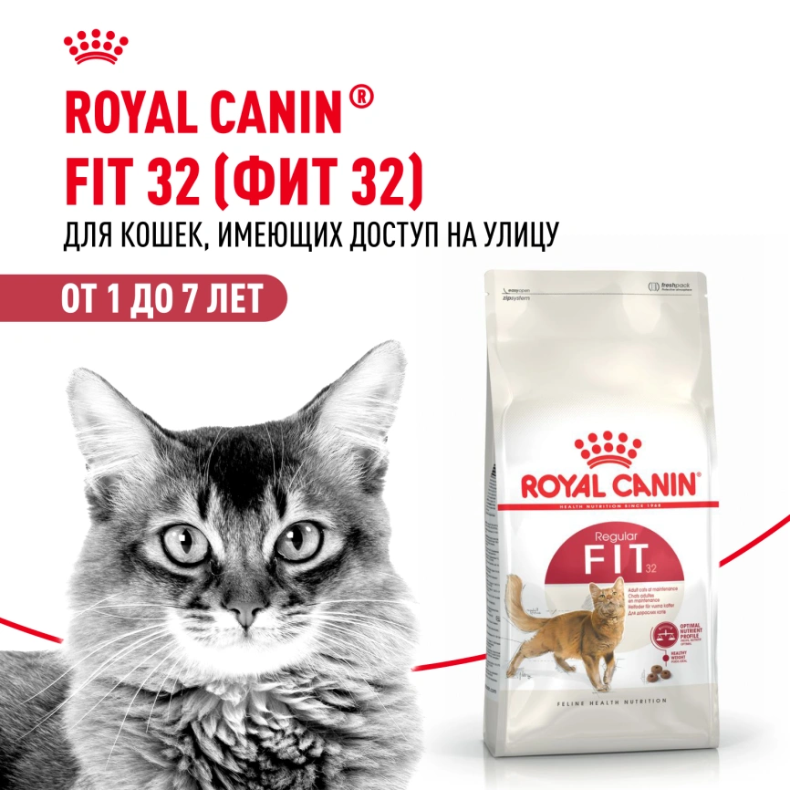 Сухой корм Royal Canin Fit для кошек, 15 кг фото 14