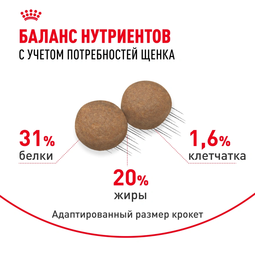 Сухой корм Royal Canin Mini Puppy для щенков, 800 г фото 4