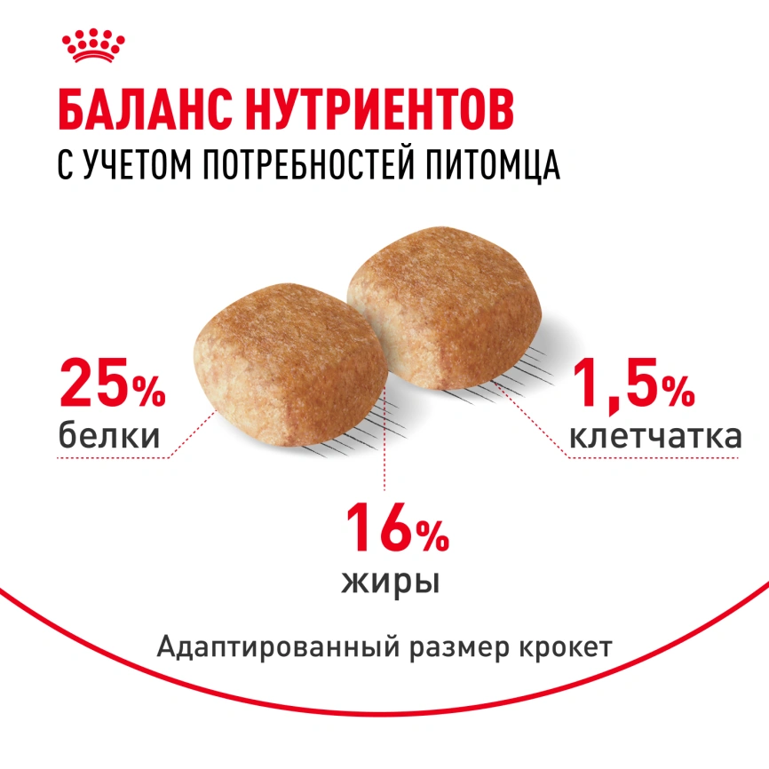 Сухой корм Royal Canin Miniature Schnauzer Adult для собак породы миниатюрный шнауцер, 3 кг фото 4