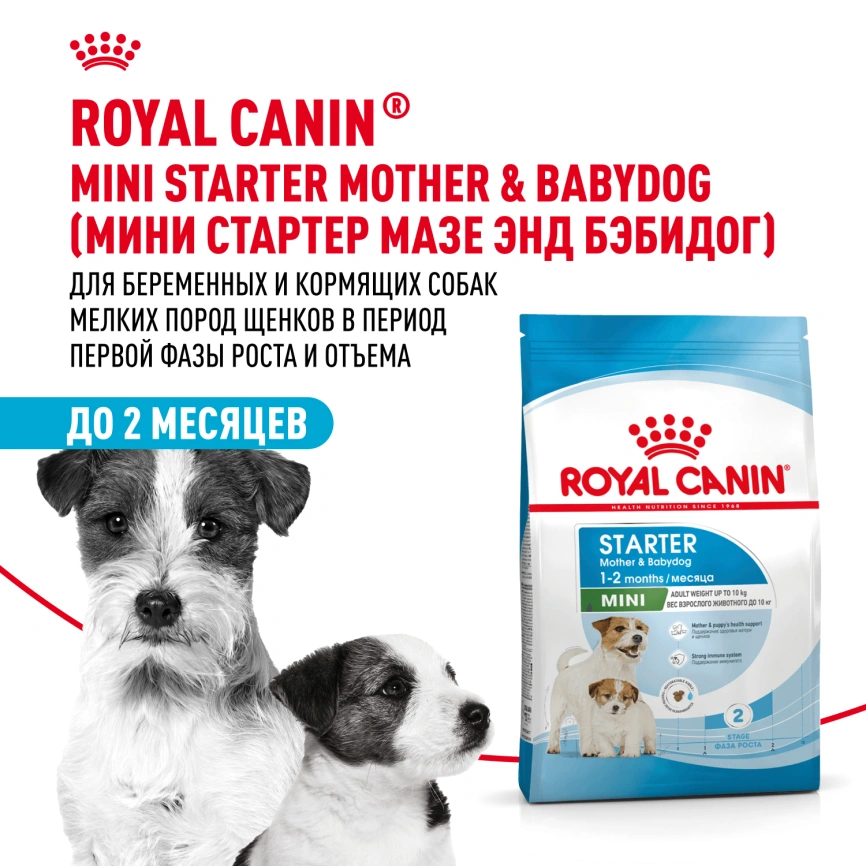 Сухой корм Royal Canin Mini Starter Mother & Babydog для щенков и кормящих сук, 1 кг фото 13