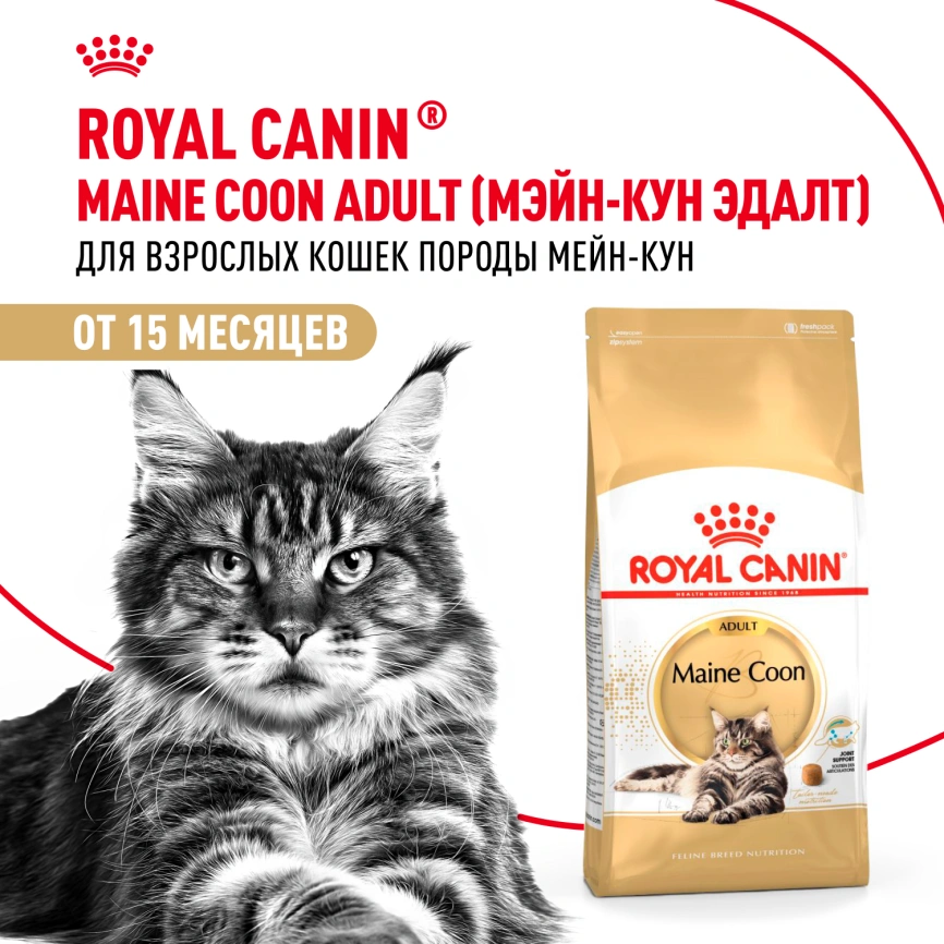 Сухой корм Royal Canin Maine Coon для кошек, 4 кг фото 12