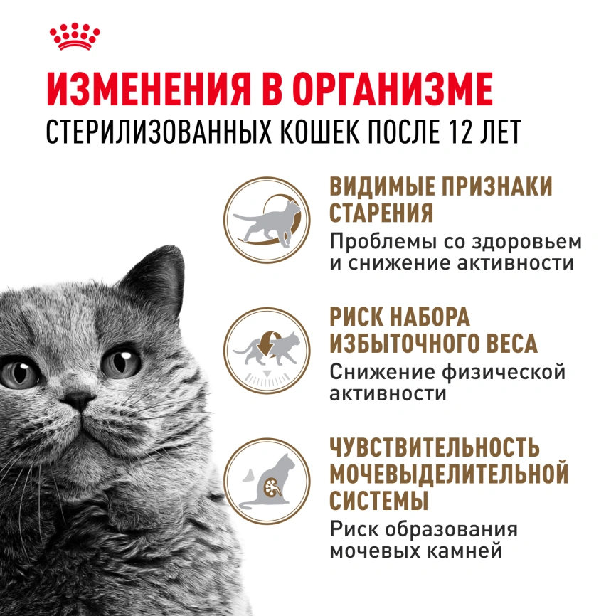 Сухой корм Royal Canin Ageing Sterilised 12+ для стерилизованных кошек старше 12 лет, 4 кг фото 2