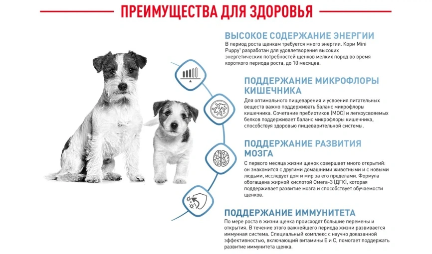 Сухой корм Royal Canin Mini Puppy для щенков, 800 г фото 16
