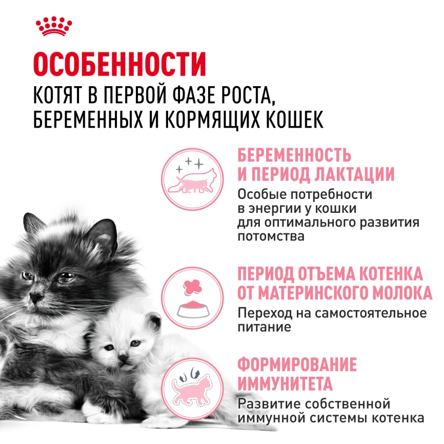 Сухой корм Royal Cаnin Mother & Babycat для котят, беременных и лактирующих кошек, 400 г фото 3