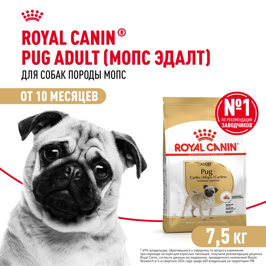 Сухой корм Royal Canin Pug Adult для взрослых собак, 7.5 кг фото 1