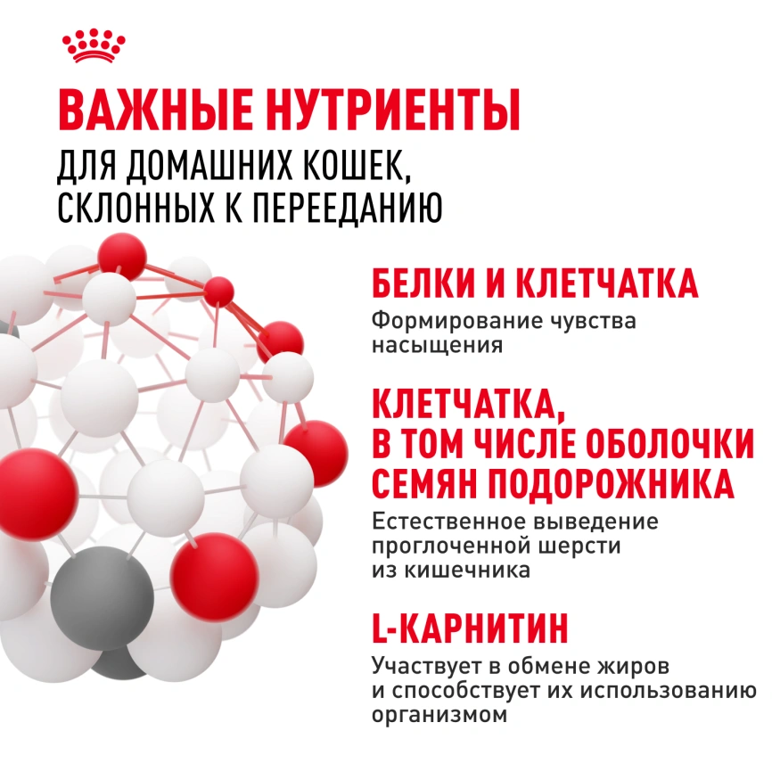 Сухой корм Royal Canin Indoor Appetite Control для кошек, 400 г фото 5