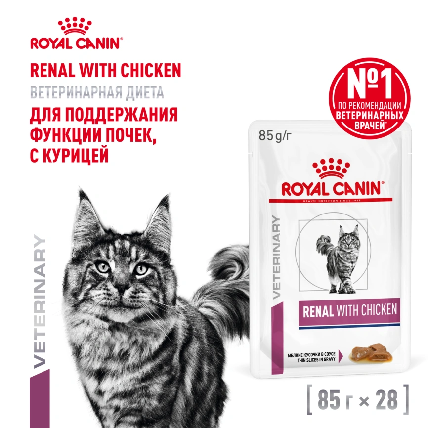 Влажный корм Royal Canin Renal with Chicken в соусе для кошек при заболеваниях почек, с курицей, пауч, 85 г фото 12