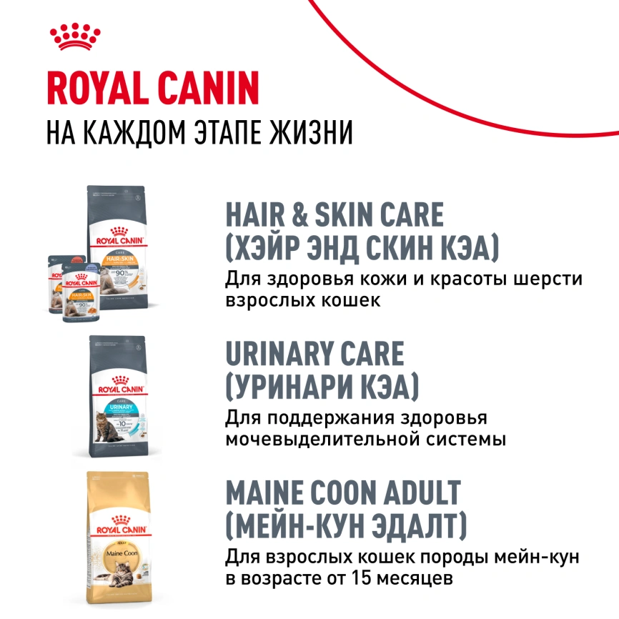 Сухой корм Royal Canin Kitten Maine Coon для котят, 10 кг фото 9