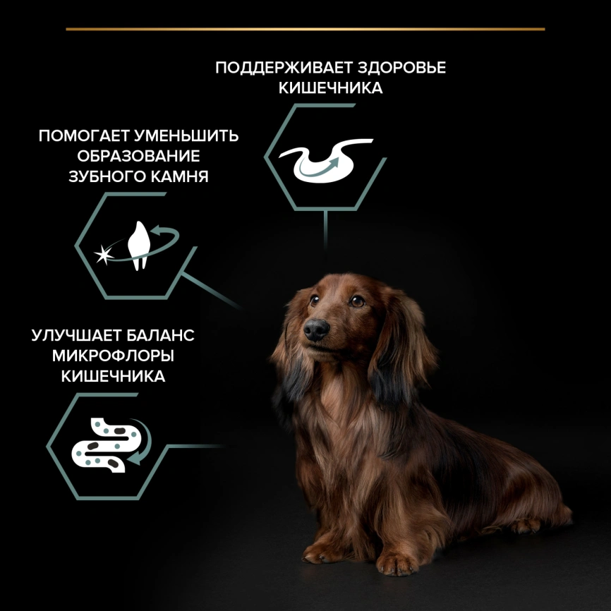 Сухой корм Purina Pro Plan Adult Small & Mini Sensitive Digestion для собак мелких пород, ягнёнок и рис, 2.5 кг + 500 г фото 3