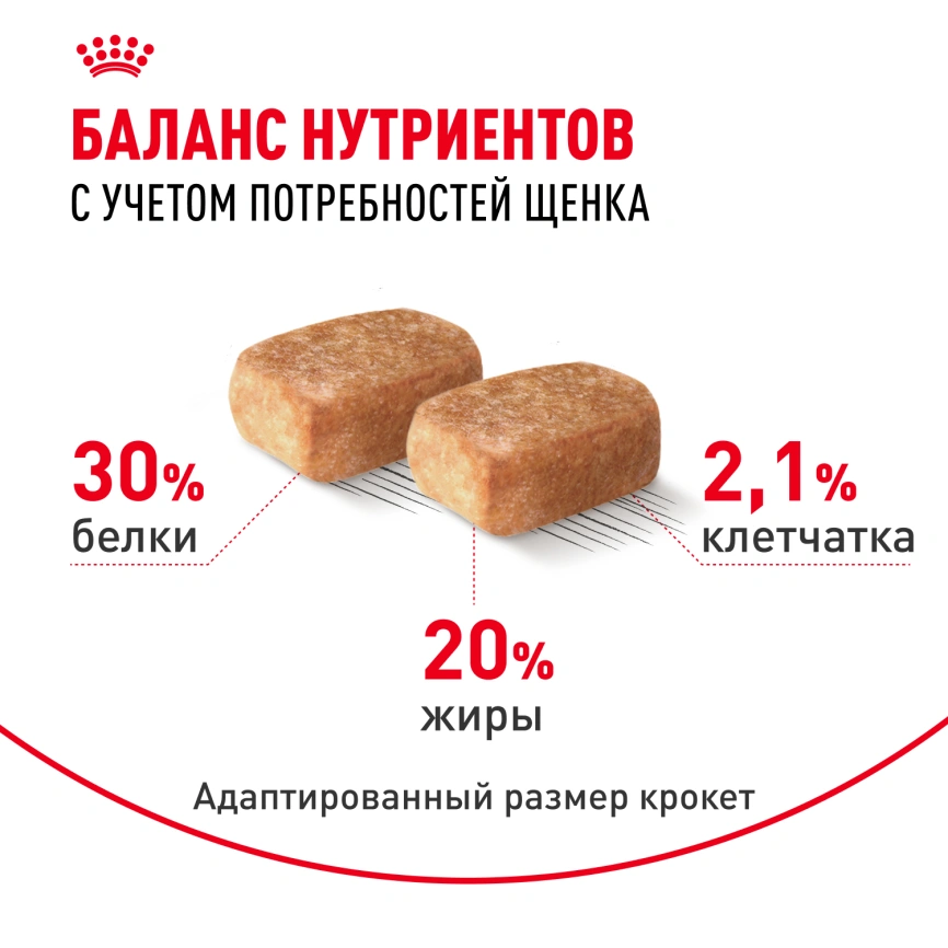 Сухой корм Royal Canin Chihuahua Puppy для щенков породы чихуахуа, 500 г фото 3