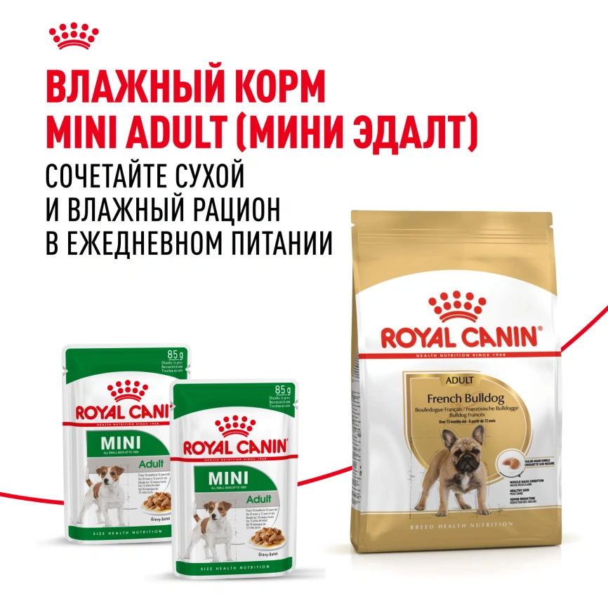 Сухой корм Royal Canin French Bulldog Adult для собак, 9 кг фото 8