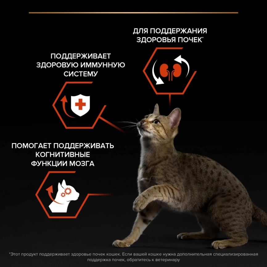 Сухой корм Purina Pro Plan Cat Adult Original Opti-Senses для взрослых кошек, с лососем, 10 кг фото 2