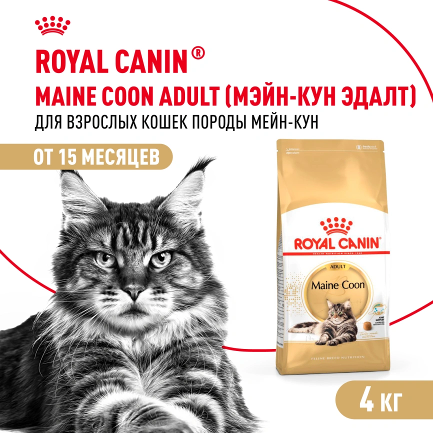 Сухой корм Royal Canin Maine Coon для кошек, 4 кг фото 1