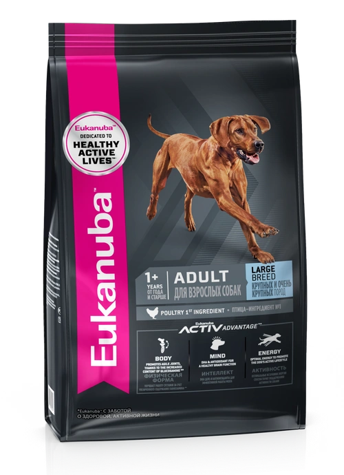 Сухой корм Eukanuba Adult Large Breed для взрослых собак крупных пород с птицей, 3 кг фото 1