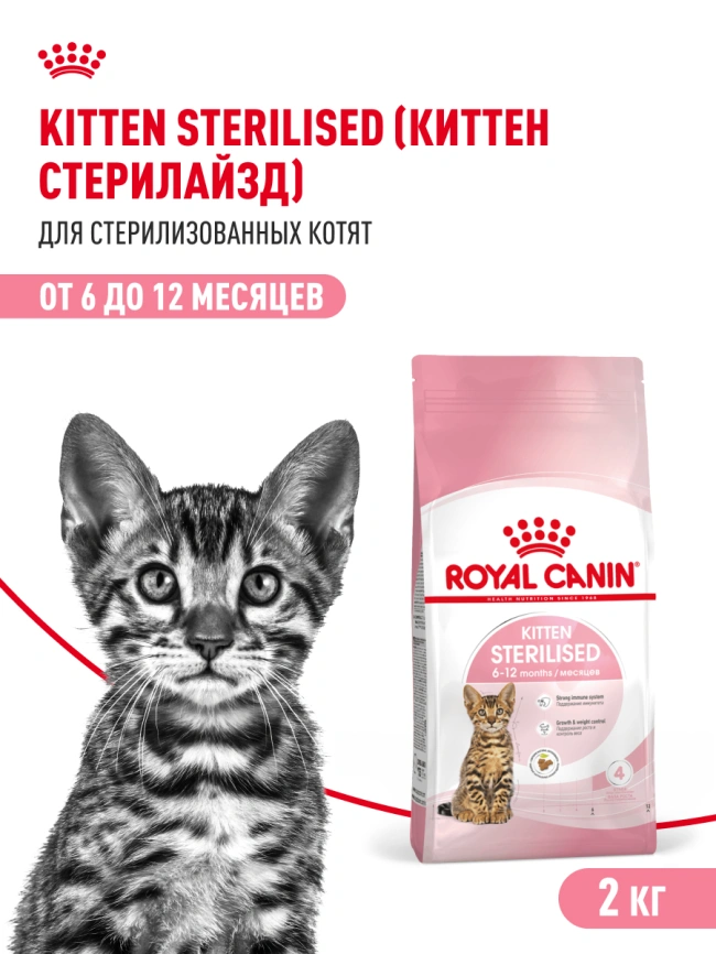 Сухой корм Royal Canin Kitten Sterilised для котят, 2 кг фото 20