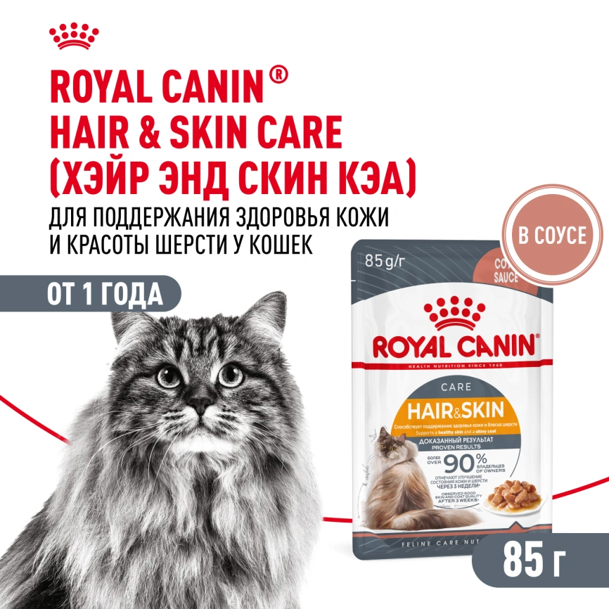 Влажный корм Royal Canin Hair & Skin Care в соусе для взрослых кошек старше 1 года, пауч, 85 г фото 1
