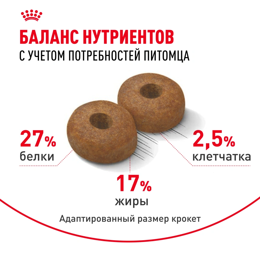 Сухой корм Royal Canin Maxi Ageing 8+ для собак, 15 кг фото 4