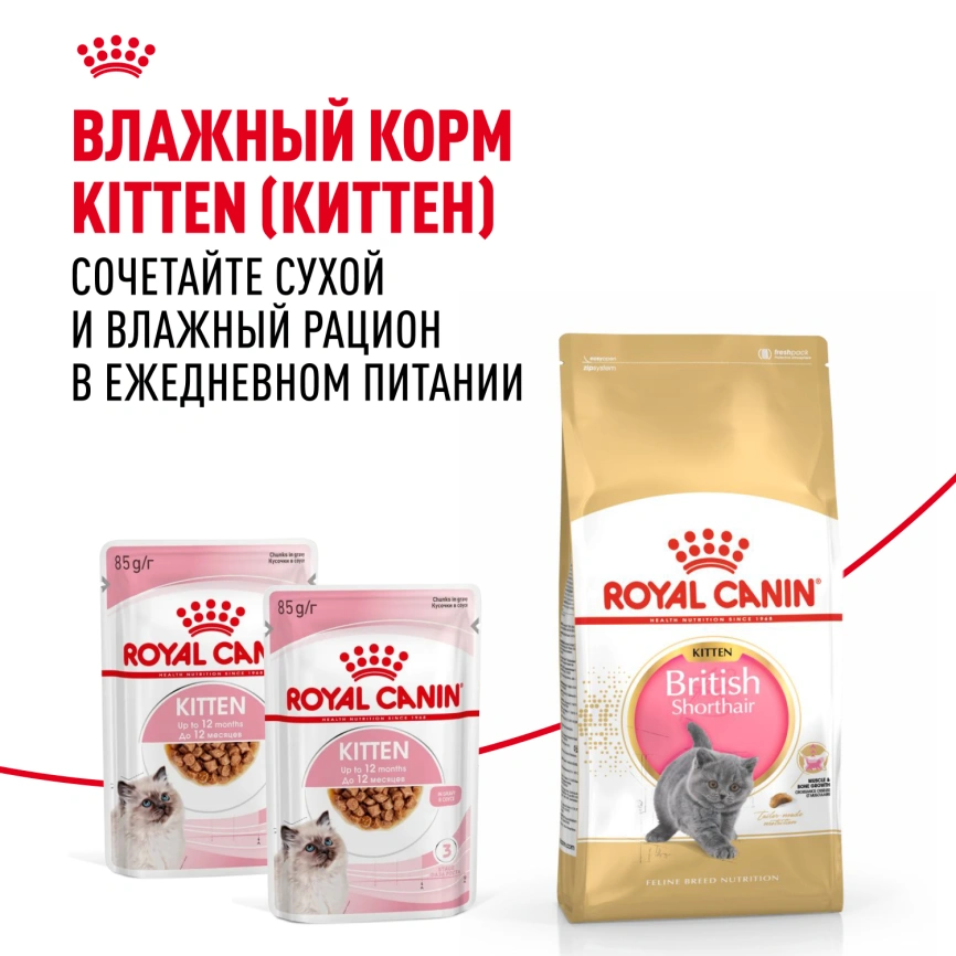 Сухой корм Royal Canin Kitten British Shorthair для котят, 400 г фото 8