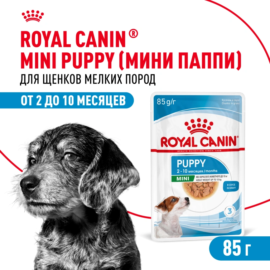 Влажный корм Royal Canin Mini Puppy в соусе для щенков мелких пород до 10 месяцев, пауч, 85 г фото 1