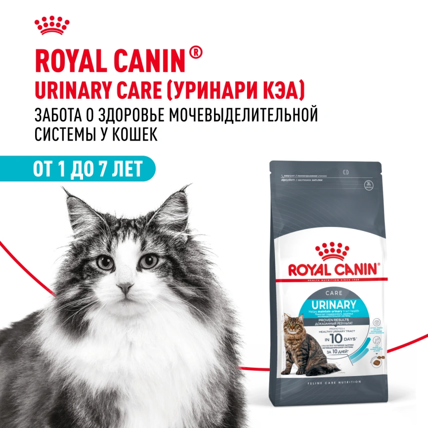 Сухой корм Royal Canin Urinary Care для кошек для профилактика МКБ, 4 кг фото 13