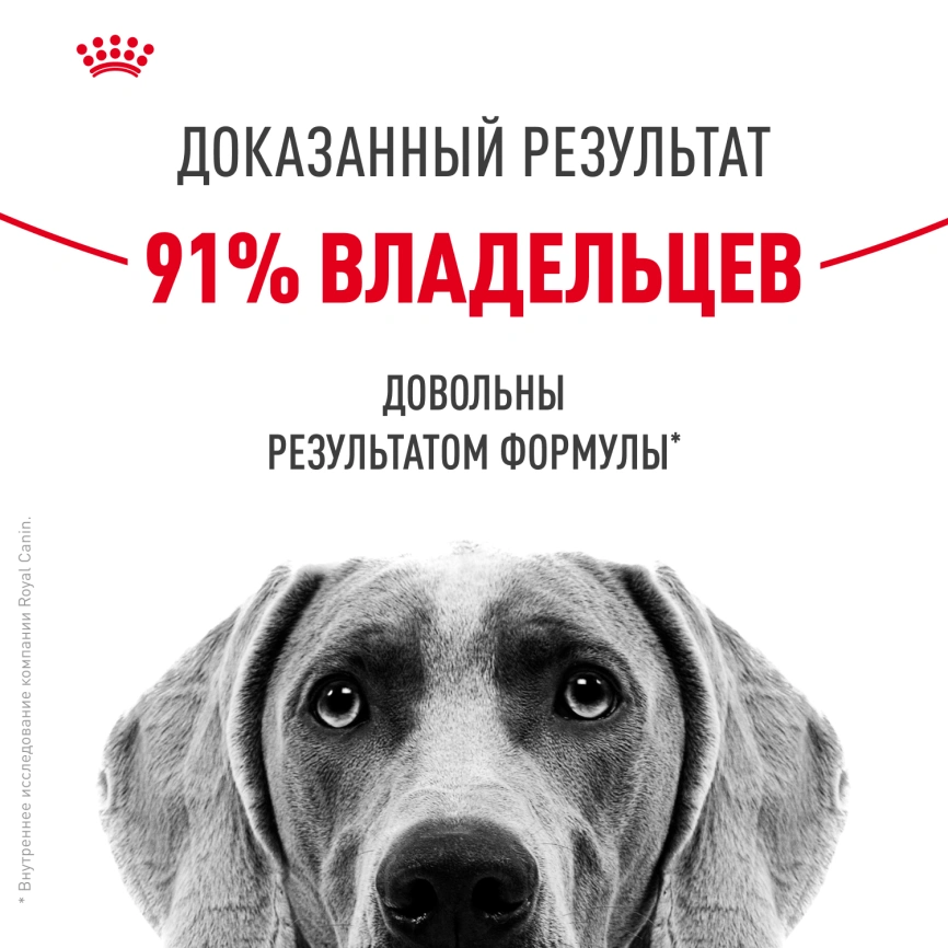 Сухой корм Royal Canin Maxi Dermacomfort для собак, 10 кг фото 10