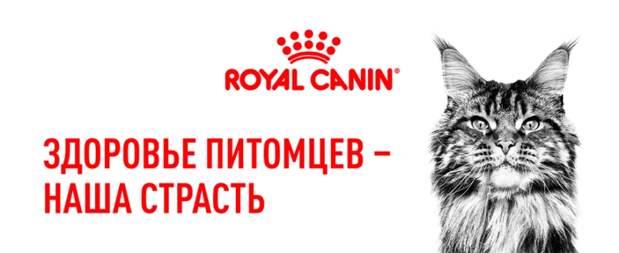 Сухой корм Royal Canin Sterilised для кастрированных котов и стерилизованных кошек, 400 г фото 8