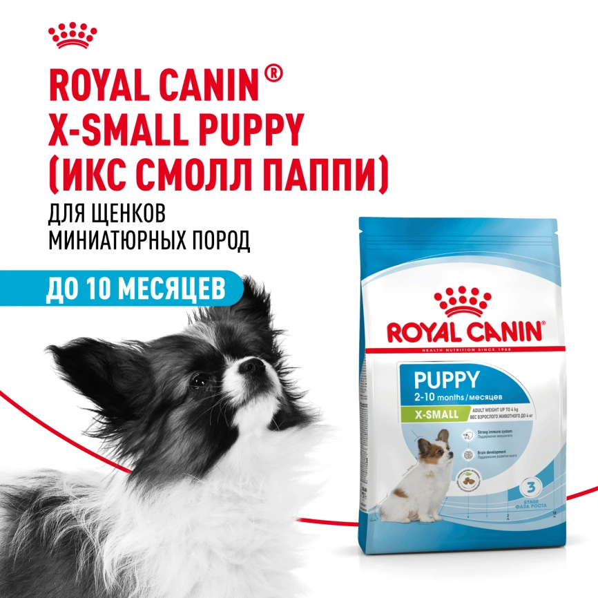 Сухой корм Royal Canin X-Small Puppy для щенков, 500 г фото 17