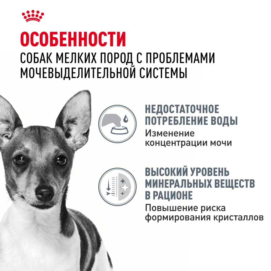 Сухой корм Royal Canin Mini Urinary Care для собак, 1 кг фото 2