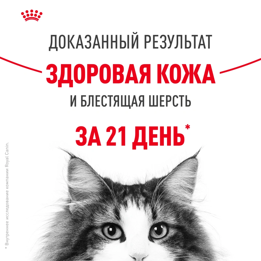 Влажный корм Royal Canin Hair & Skin Care в желе для взрослых кошек старше 1 года, пауч, 85 г фото 4