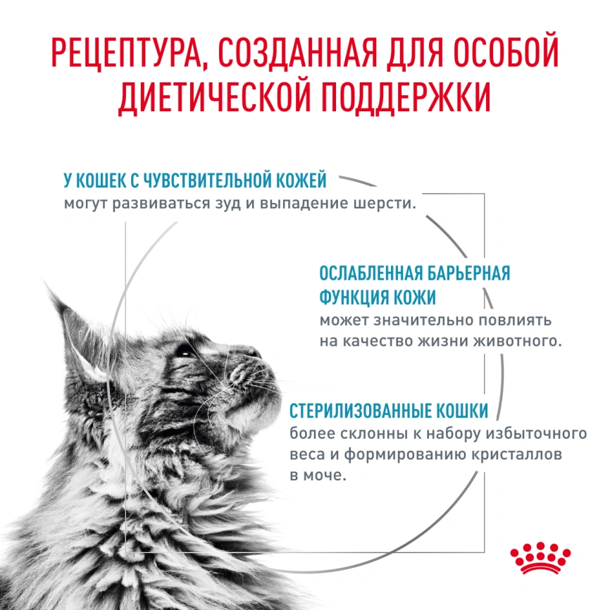 Сухой корм Royal Canin Skin & Coat для кошек, 1.5 кг фото 2