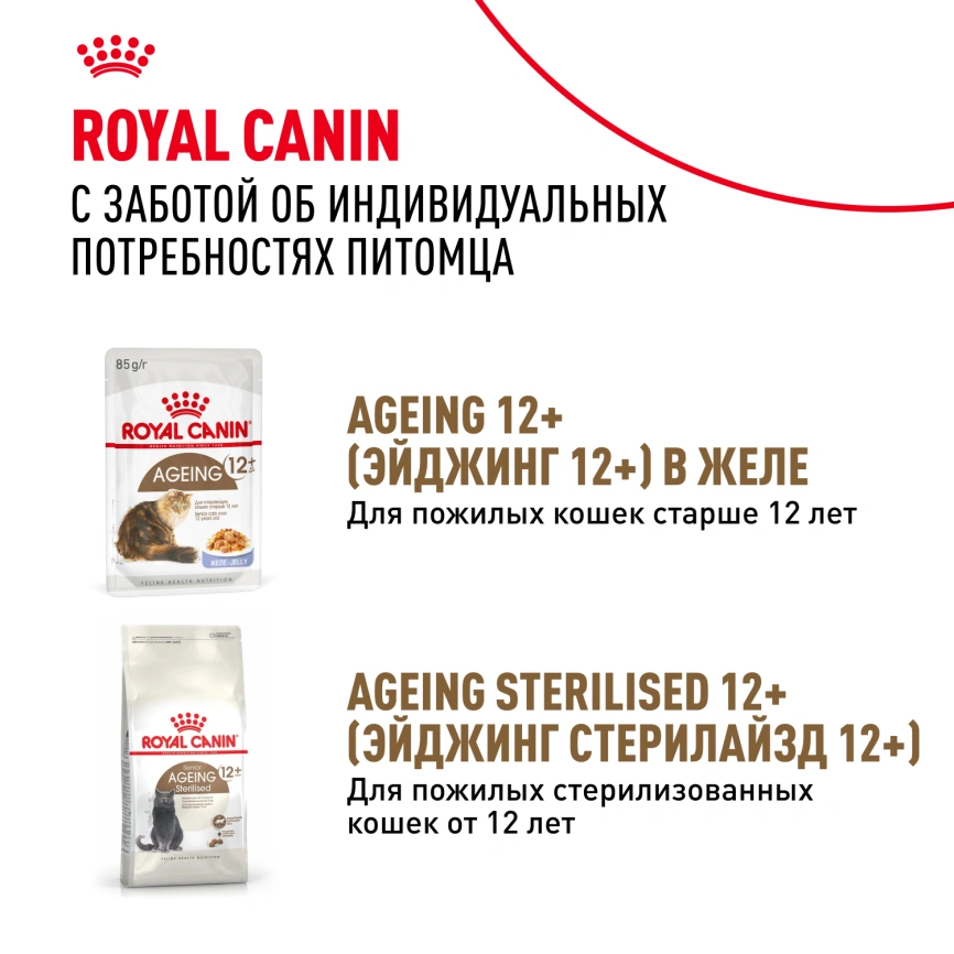 Влажный корм Royal Canin Ageing 12+ в соусе для стареющих кошек старше 12 лет, пауч, 85 г фото 13