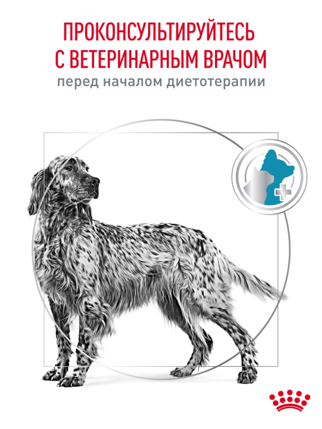 Сухой корм Royal Canin Hypoallergenic для собак, 14 кг фото 22