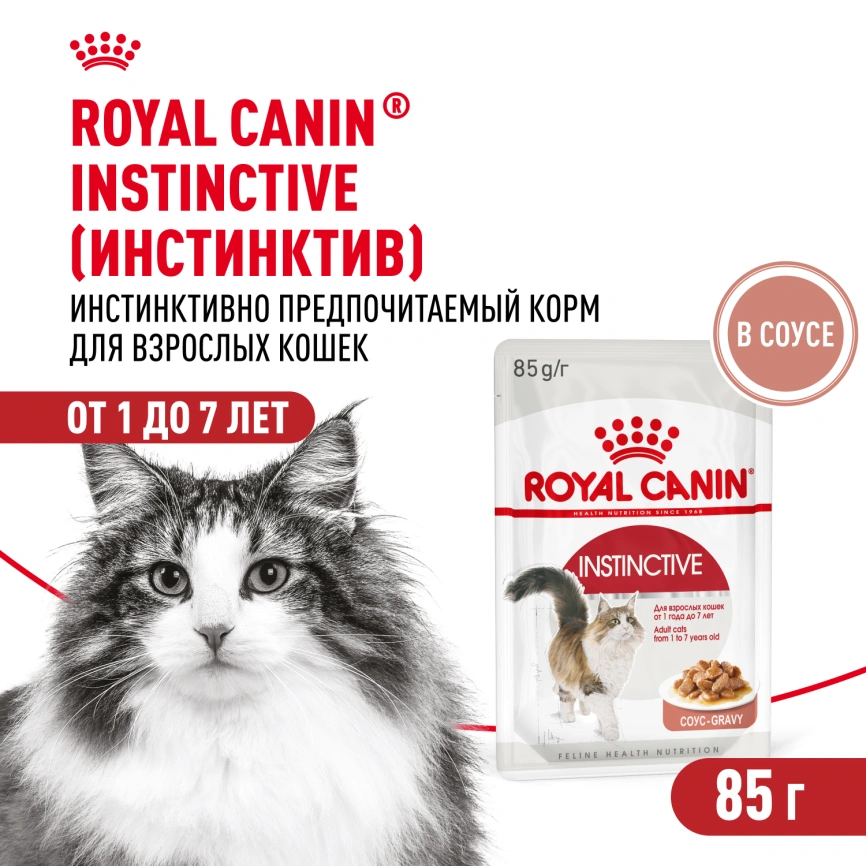 Влажный корм Royal Canin Instinctive в соусе для взрослых кошек старше 1 года, пауч, 85 г фото 1