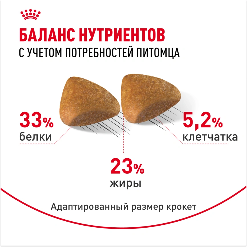 Сухой корм Royal Canin Sphynx для кошек породы сфинкс, 10 кг фото 4