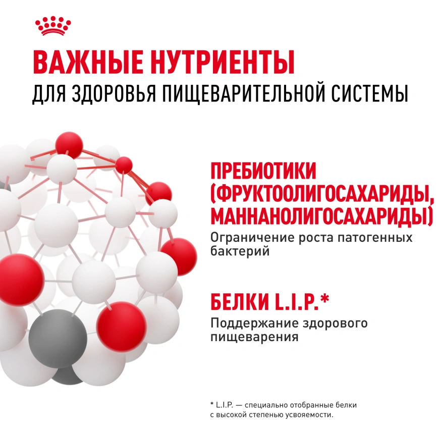 Сухой корм Royal Canin Medium Digestive Care для собак, 12 кг фото 5