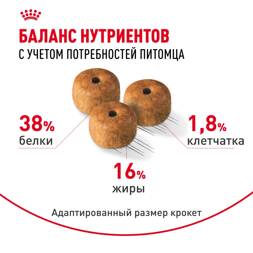 Сухой корм Royal Canin Siamese для кошек сиамской породы, 400 г фото 4