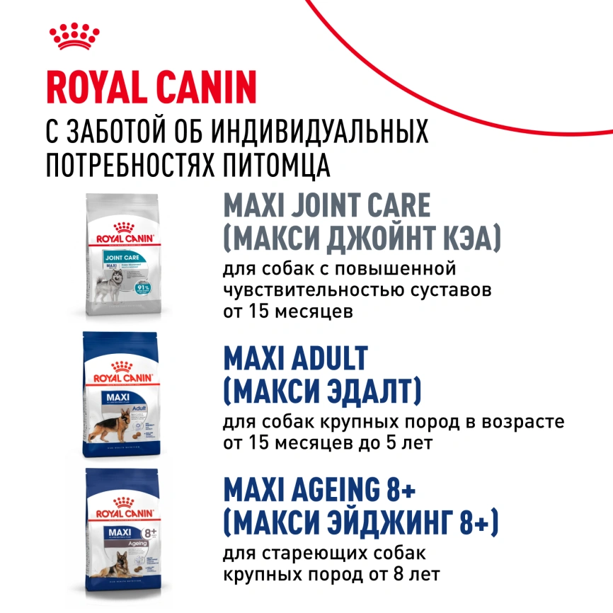 Сухой корм Royal Canin Maxi Adult 5+ для собак, 15 кг фото 8