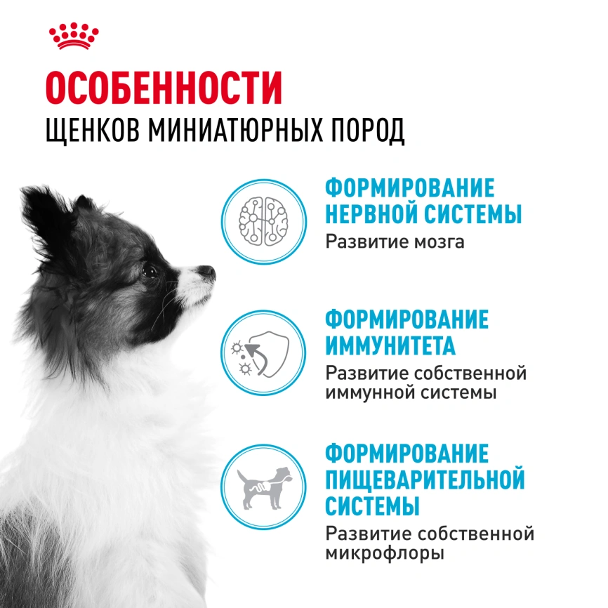 Сухой корм Royal Canin X-Small Puppy для щенков, 500 г фото 2